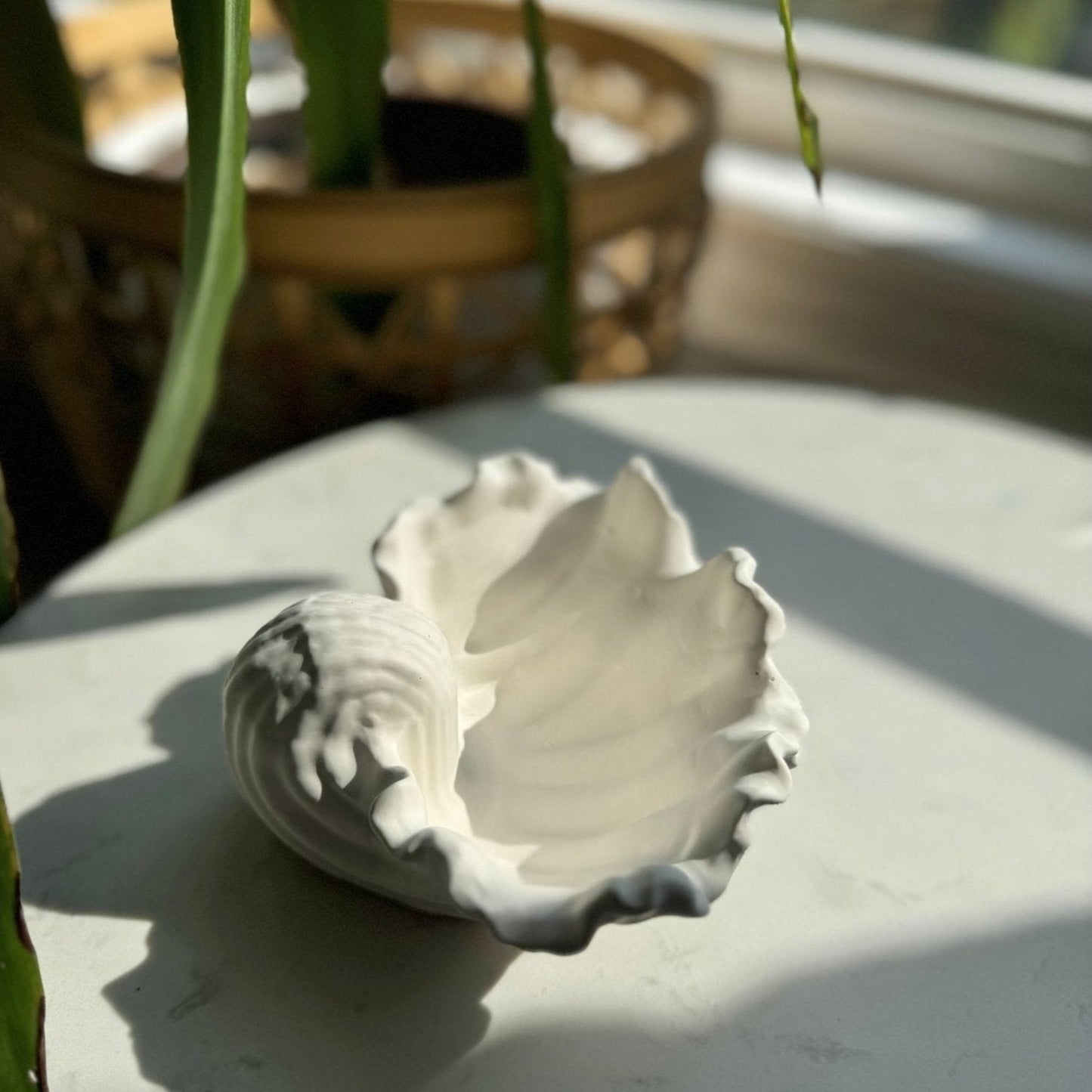Ariel Seashell Dish Chic Chaos Home
