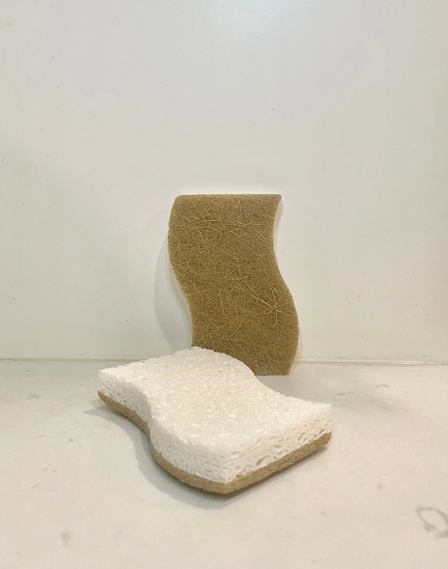 Natural Wood Dish Sponge MATOLI HOME