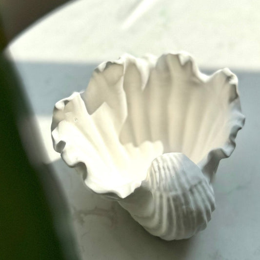 Ariel Seashell Dish Chic Chaos Home